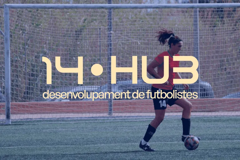 14-hub.png